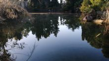 Il fiume Ciane - Foto scattata il 06/01/2021
